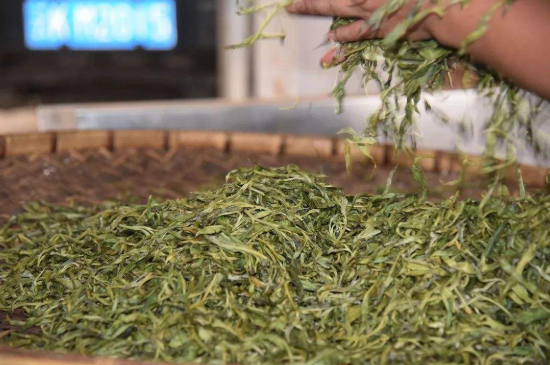 炒青綠茶與綠茶的區(qū)別，烘青和炒青哪個好喝？