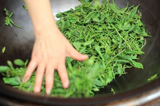 炒青綠茶與綠茶的區(qū)別，烘青和炒青哪個好喝？