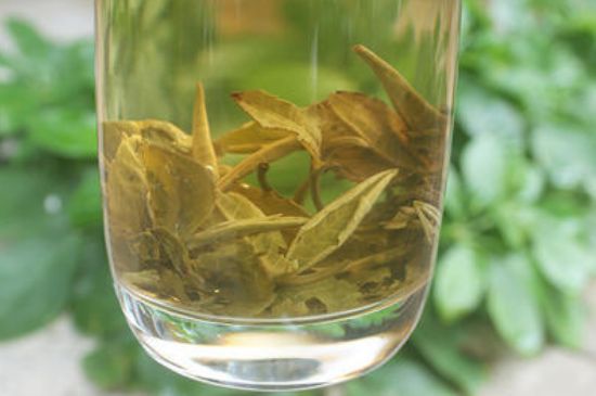 茉莉龍珠泡開后為什么都是梗，茉莉龍珠泡開后什么樣？