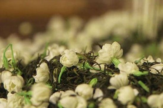 蒸茶器可以蒸花茶嗎，蒸茶器能用來(lái)蒸茉莉花茶嗎？