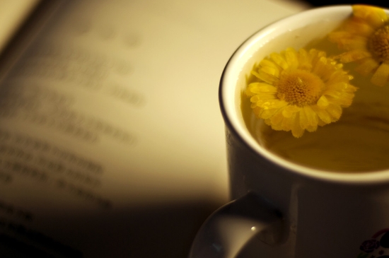 經(jīng)常菊花泡水好嗎，喝菊花茶有什么好處？