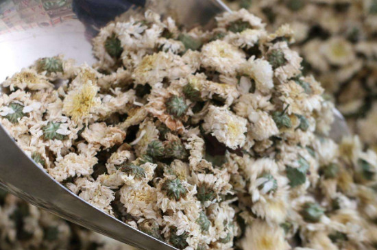 菊花茶買小朵還是大朵，泡茶用的小菊花和大菊花哪個好