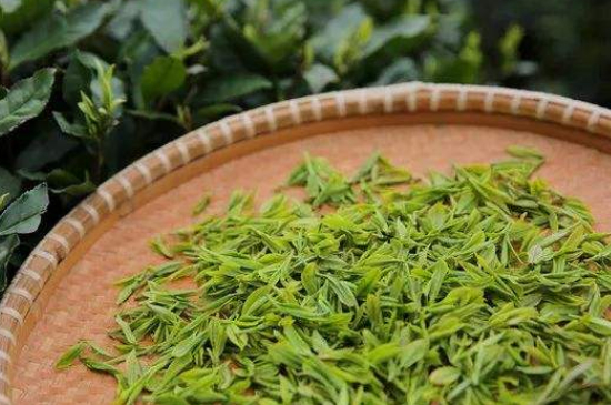 炒青綠茶與綠茶的區(qū)別，烘青和炒青哪個好喝？