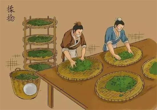 制茶八步驟，制茶工藝流程圖