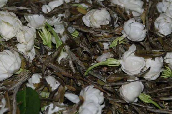 茉莉龍珠怎么做的，茉莉龍珠的制作工藝