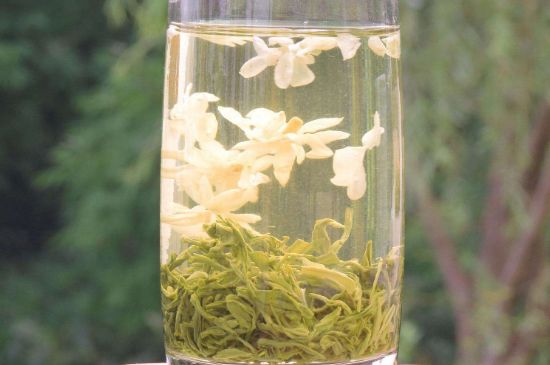 茉莉龍珠可以和什么一起泡茶，茉莉龍珠茶能加蜂蜜嗎？