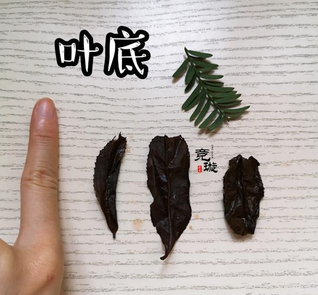 正山小種很細還很黑亮，正山小種越細越好嗎