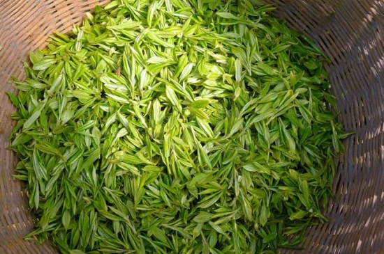 烏牛早和龍井的區(qū)別圖片，龍井43號和烏牛早茶的對比
