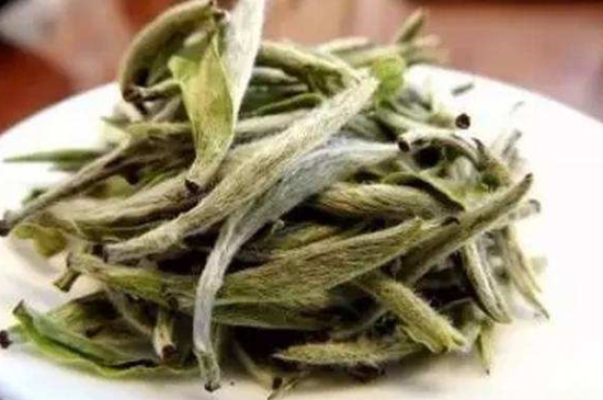 白茶三年為藥七年為寶的原理，為什么說一年茶三年藥七年寶？