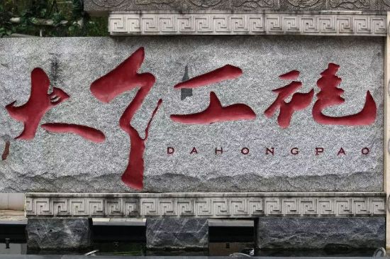 母樹大紅袍給誰喝了，為什么母樹大紅袍叫三棵六株？