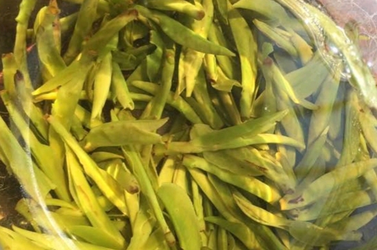 龍井是明前的好還是雨前的好，明前茶和雨前茶哪個好喝？
