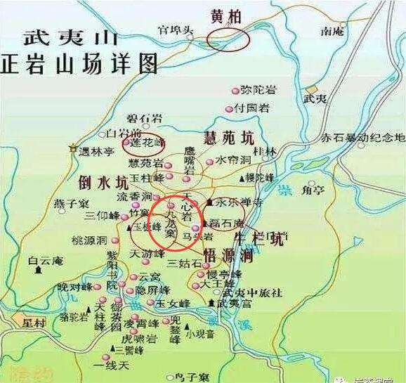 母樹大紅袍給誰喝了，為什么母樹大紅袍叫三棵六株？