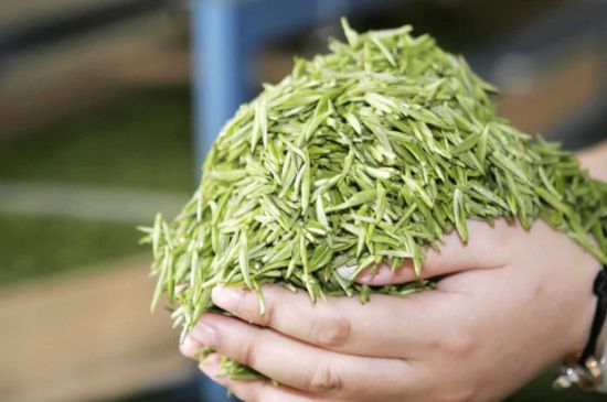 高山云霧茶屬于什么茶，高山云霧茶哪里的最好