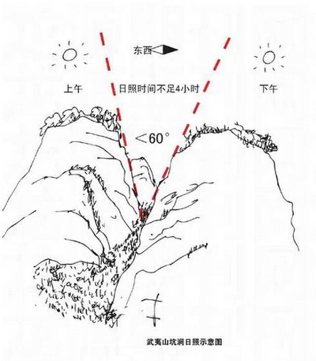 武夷山為什么盛產(chǎn)茶葉，武夷山茶為什么好喝？
