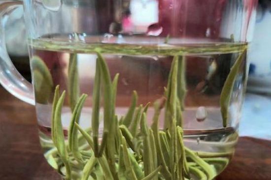 踏雪蘭妃是什么茶，踏雪蘭妃是哪里的茶葉?