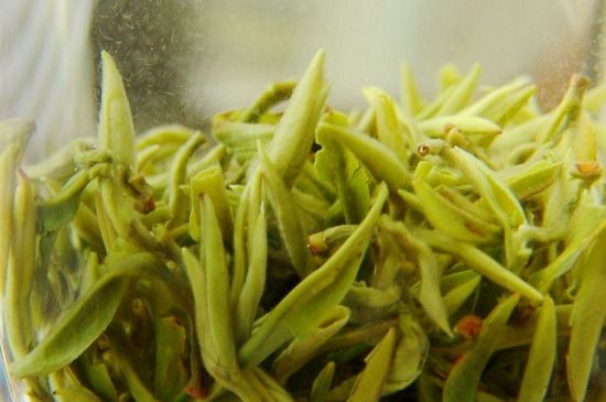 碧螺春為什么泡水渾濁，碧螺春茶葉泡水感覺很臟是混濁的