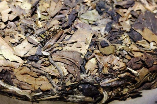 煮茶的步驟圖解，正確的煮白茶方法！