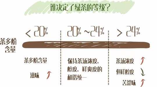 什么綠茶口味重口感濃郁，口味比較重的綠茶都有那些？