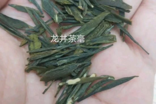 西湖龍井茶毫和發(fā)霉區(qū)別圖片，長(zhǎng)霉的龍井茶葉會(huì)是什么樣？