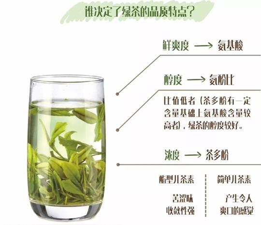 什么綠茶口味重口感濃郁，口味比較重的綠茶都有那些？