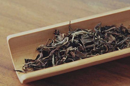 怎么撬老白茶茶餅不容易碎，福鼎白茶如何撬茶方法
