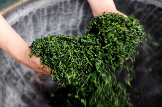 潮汕炒茶屬于什么茶，潮汕炒茶是綠茶嗎？