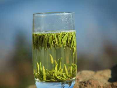竹葉青茶怎么樣，檔次較高味道略苦價(jià)格比較貴