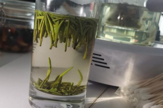 金壇雀舌算不算好茶，金壇雀舌屬于什么檔次茶葉？