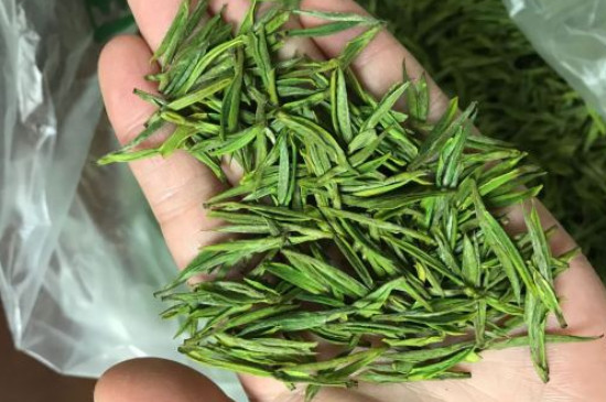 什么綠茶茶葉唇齒留香，哪個品種綠茶香氣好？