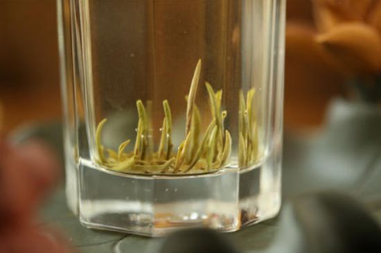 踏雪蘭妃是什么茶，踏雪蘭妃是哪里的茶葉?