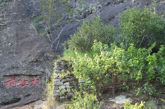 母樹大紅袍給誰喝了，為什么母樹大紅袍叫三棵六株？
