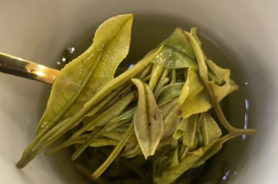 新舊白茶怎么區(qū)分，怎么分辨白茶是新還是舊