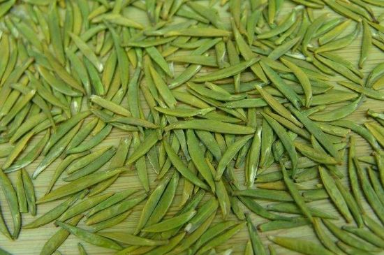竹葉青和毛尖的區(qū)別，毛尖和竹葉青怎么分辨？