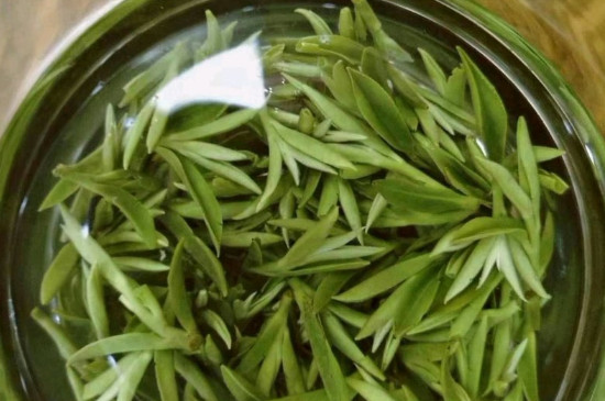 什么綠茶茶葉唇齒留香，哪個品種綠茶香氣好？