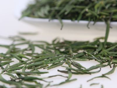霍山黃芽算是好茶嗎，霍山黃芽屬于什么茶？