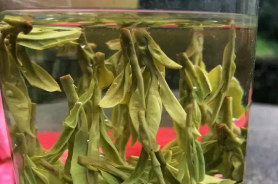 什么綠茶最香最好喝，綠茶口感與香氣排名