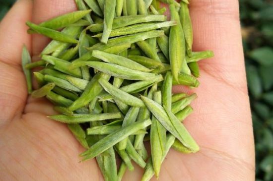 什么綠茶味道濃香，那個綠茶比較濃香？