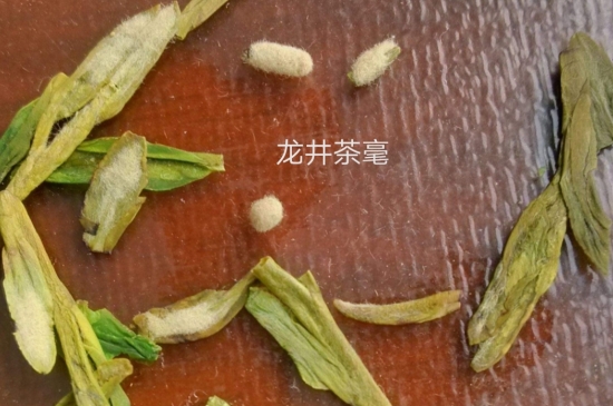西湖龍井茶毫和發(fā)霉區(qū)別圖片，長(zhǎng)霉的龍井茶葉會(huì)是什么樣？