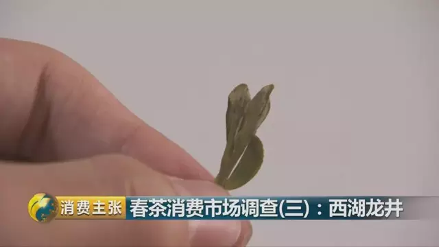 龍井群體種和43號(hào)的區(qū)別圖片，龍井43和群體種哪個(gè)好喝？