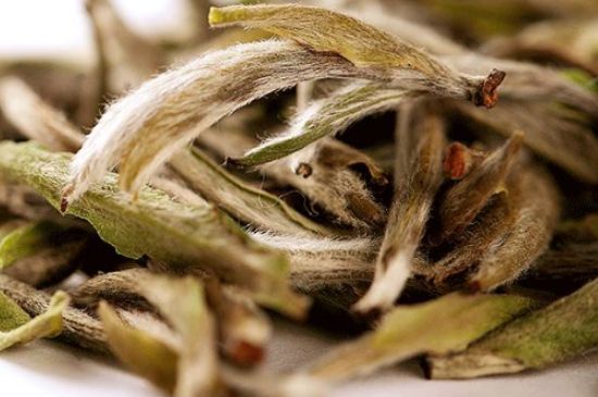 荒野銀針有什么特點(diǎn)，荒野銀針的味道口感咋樣？