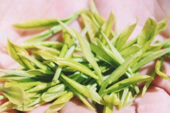 龍井是明前的好還是雨前的好，明前茶和雨前茶哪個好喝？