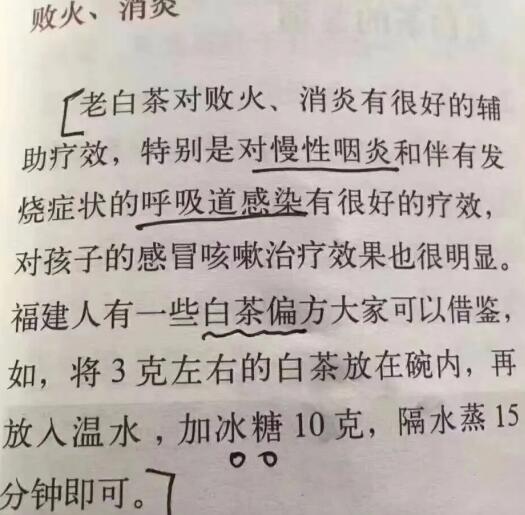 老白茶上火還是去火？夏季喝煮的老白茶會(huì)容易上火！