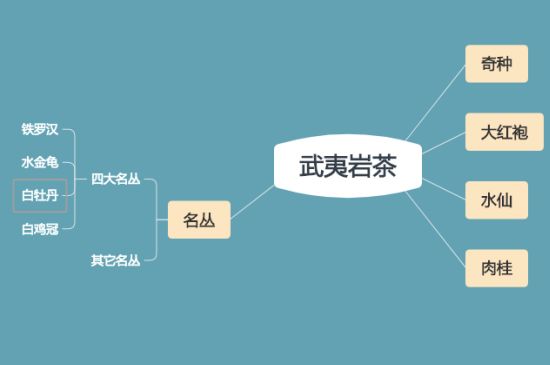 武夷巖茶品種大全，巖茶有幾種？