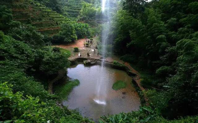 武夷山為什么盛產(chǎn)茶葉，武夷山茶為什么好喝？