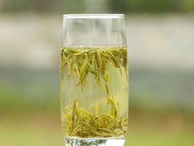 霍山黃芽算是好茶嗎，霍山黃芽屬于什么茶？