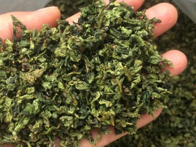 鐵觀音毛茶茶?？梢耘菟葐?，鐵觀音帶梗是不是好茶？
