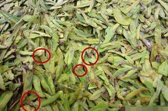 烏牛早和龍井的區(qū)別圖片，龍井43號和烏牛早茶的對比