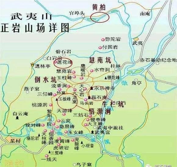 300塊錢的金駿眉能喝嗎，兩三百多金駿眉和一千多區(qū)別