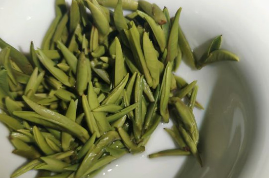 竹葉青茶怎么泡，竹葉青如何沖泡