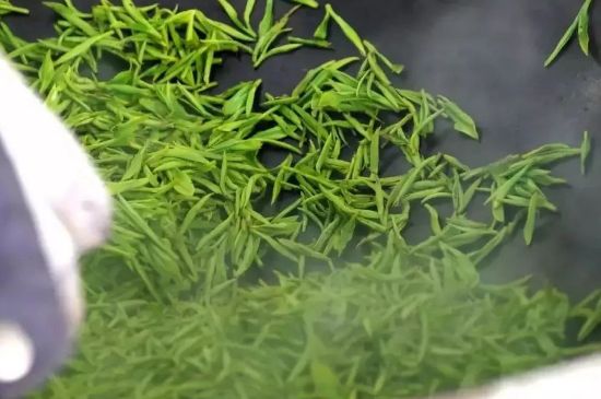 碧螺春為什么泡水渾濁，碧螺春茶葉泡水感覺很臟是混濁的